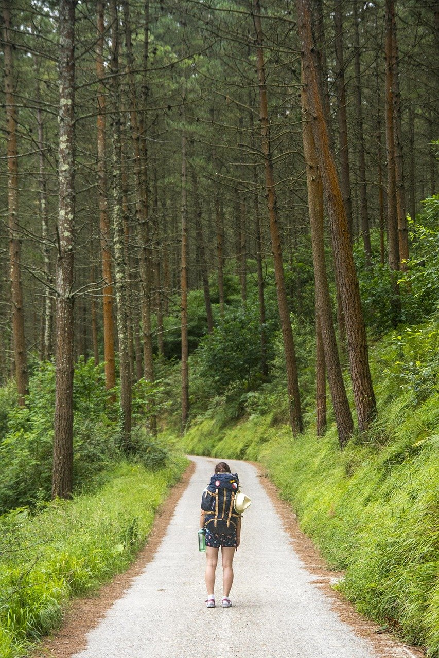tourist, traveler, nature, woman, walking, backpack, trail, trekking, forest, woods, walk, wander, trees, tourist, tourist, walking, walking, walking, walking, walking, backpack, backpack, trail, trail, trekking, trekking, trekking, trekking, forest, forest, walk, walk